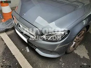 2019, Mercedes-Benz / E 300, VIN: WDDZF4JB5KA632234, gas