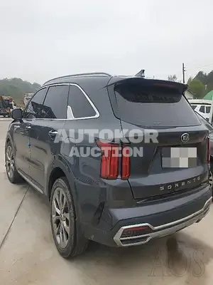 2021, Kia / Sorento, VIN: KNARF81BGMA076325, diesel