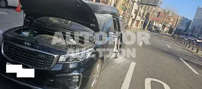 2020, Kia / Carnival, VIN: KNAME811BLS657008, 25000 км., gas