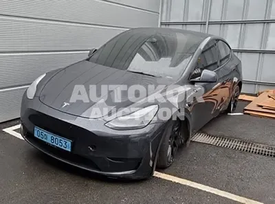 2025, Tesla / Model Y, electric