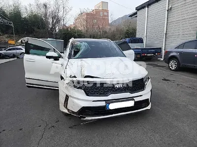 2021, Kia / Sorento, VIN: KNARF81FGMA070589, gas