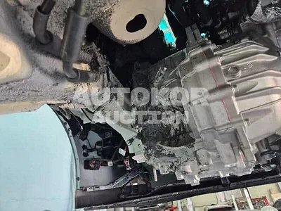 2024, Kia / Carnival, VIN: KNANE813BSS491513, gas