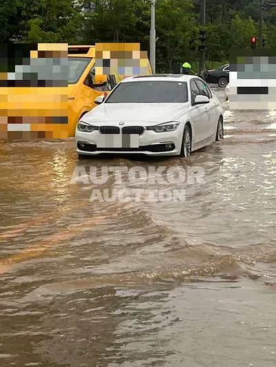 2017, BMW / 320, 78706 км., gas