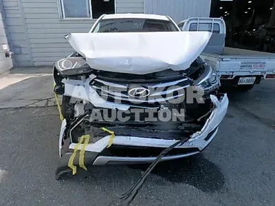 2016, Hyundai / Santa FE, VIN: KMHSU81UBGU524382, 122887 км., diesel