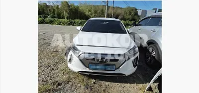 2019, Hyundai / Ioniq, 130000 км., electric, 120 куб.см.