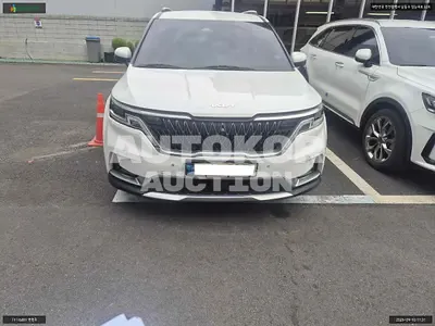 2021, Kia / Carnival, VIN: KNANC81BBMS074484, 76635 км., diesel, 2151 куб.см.