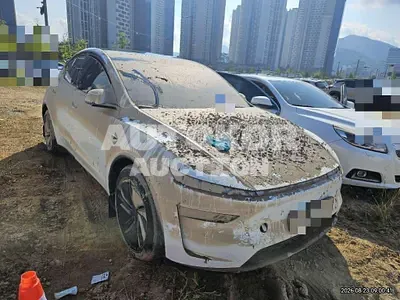 2026, Tesla / Model Y, 10000 км., electric