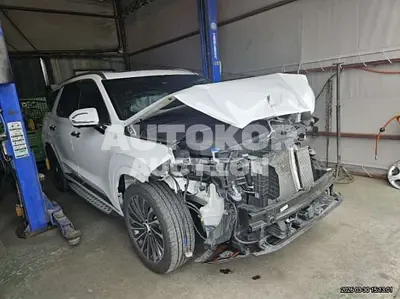 2023, Hyundai / Palisade, 50037 км., diesel, 2200 куб.см.