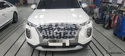 2019, Hyundai / Palisade, VIN: KMHR381ADKU043869, 157560 км., diesel, 2200 куб.см.
