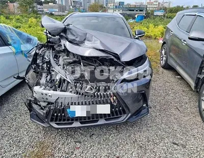 2023, Audi / 50, hybrid, 2487 куб.см.