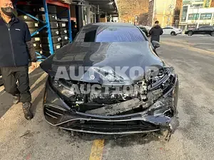 2022, Mercedes-Benz / S 450, VIN: W1KCG2DB0NA007487, 22000 км., electric