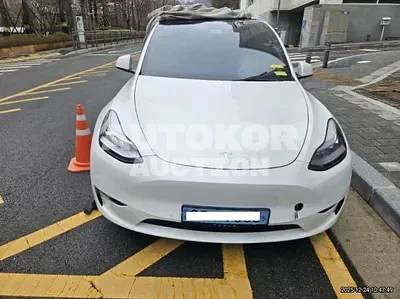 2021, Tesla / Model Y, VIN: 5YJYGDEE7MF169160, 108898 км., electric