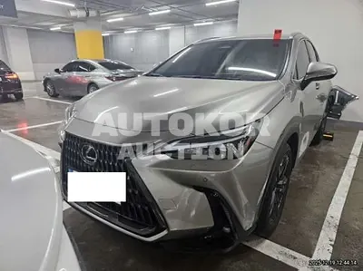 2024, Lexus / nx350h, 11848 км., hybrid