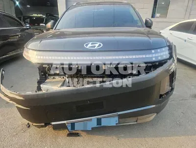 2025, Hyundai / ioniq 9, VIN: KMHMU811FSA010318, 34994 км., electric, 180 куб.см.