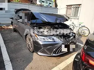 2021, Lexus / ES 300, VIN: JTHBA1C11N2007419, 23000 км., hybrid, 2487 куб.см.