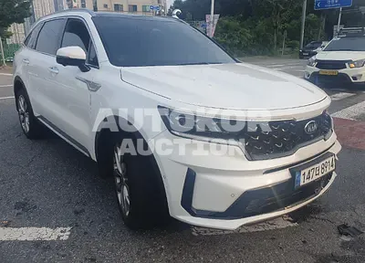 2021, Kia / Sorento, VIN: KNARF81BHMA034257, 48418 км., diesel