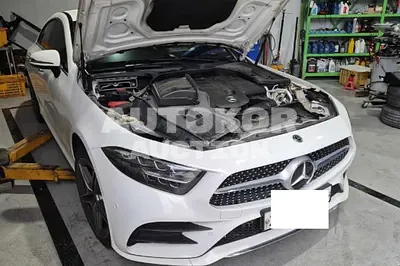 2019, Mercedes-Benz / cls300, VIN: WDD2J1JBXKA023865, 135284 км., diesel