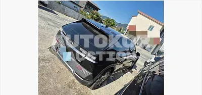 2021, Hyundai / Ioniq, VIN: KMHKN81CPNU040229, 84240 км., electric, 160 куб.см.