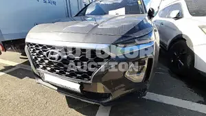 2019, Hyundai / Santa FE, VIN: KMHS381ABLU223904, gas