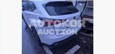 2020, Lexus / NX 300, 36509 км., hybrid, 2494 куб.см.