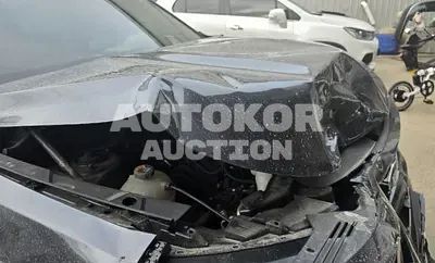 2021, Kia / Sorento, VIN: KNARL81BHMA082948, 80769 км., diesel
