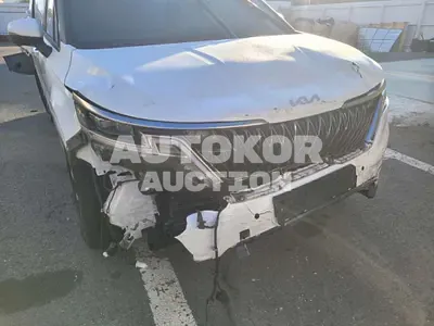 2023, Kia / Carnival, 71966 км., gas, 3500 куб.см.