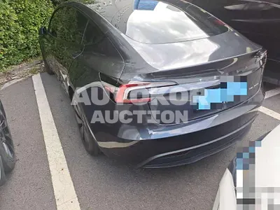 2025, Tesla / Model 3, electric