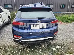 2019, Hyundai / Santa FE, VIN: KMHS581CBKU132497, 45000 км., diesel, 2199 куб.см.