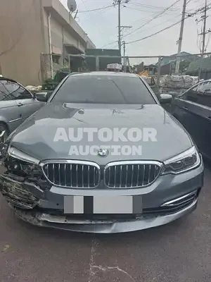 2017, BMW / 520, VIN: WBAJC3108JG994494, 130000 км., diesel
