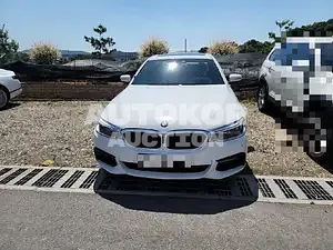 2018, BMW / 520, 124578 км., diesel, 1995 куб.см.