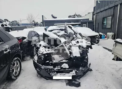 2020, Hyundai / Santa FE, VIN: KMHS281BBLU187693, diesel