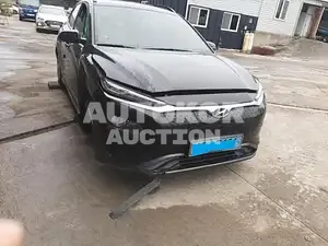 2020, Hyundai / Kona, VIN: KMHK381GFLU095807, electric