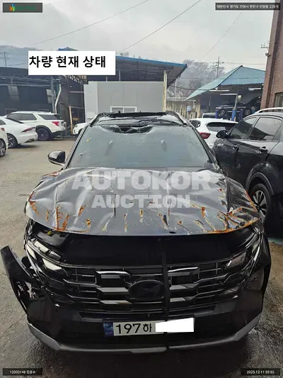 2024, Hyundai / Tucson, VIN: KMHJB81BGRU354788, 24584 км., gas, 1598 куб.см.