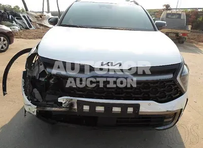2022, Kia / Sportage, VIN: KNAPY81BGNK014266, 51438 км., gas