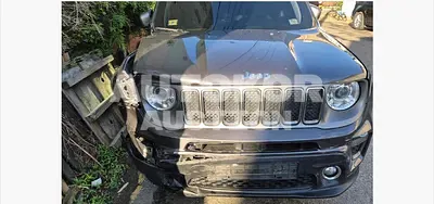 2019, Jeep / Renegade, 83200 км., gas, 2360 куб.см.