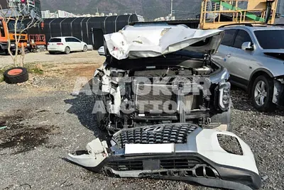 2019, Hyundai / Palisade, VIN: KMHR381ABKU000854, 162061 км., diesel, 2200 куб.см.