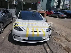 2019, Tesla / Model 3, electric
