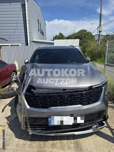 2024, Kia / Sorento, hybrid, 1600 куб.см.