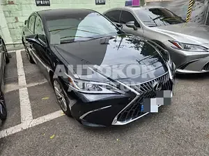 2022, Lexus / ES 300, VIN: JTHBA1C19P2012208, hybrid