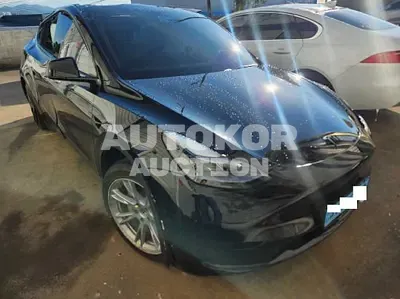 2024, Tesla / Model Y, VIN: LRWYGCFS2RC424460, 23790 км., electric
