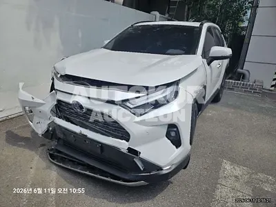 2023, Toyota / RAV4, 50161 км., hybrid