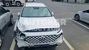 2020, Hyundai / Santa FE, VIN: KMHS281HHMU358010, 63310 км., diesel
