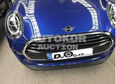 2021, MINI / Cooper, VIN: WMWXV7109M2N91654, gas