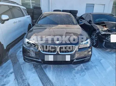 2015, BMW / 520, 173100 км., diesel, 1995 куб.см.