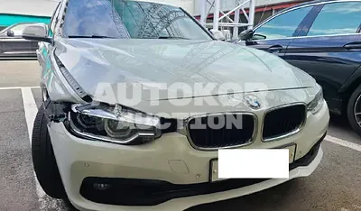 2016, BMW / 320, VIN: WBA8D1107GK656154, 198138 км., diesel