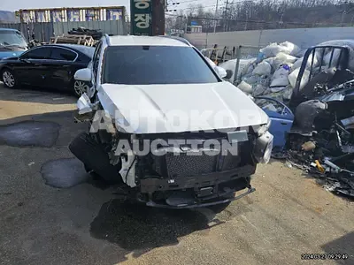 2019, Hyundai / Santa FE, VIN: KMHS381CBKU011363, diesel