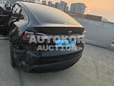 2022, Tesla / Model Y, 12400 км., electric, 236 куб.см.