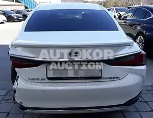2019, Lexus / ES 300, VIN: JTHB21B17K2025272, 52039 км., hybrid, 2487 куб.см.