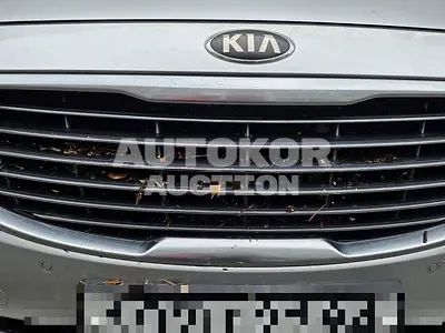 2015, Kia / Carnival, 225554 км., diesel, 2199 куб.см.