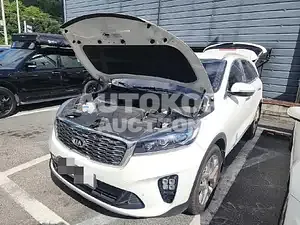 2019, Kia / Sorento, 80000 км., diesel, 1990 куб.см.